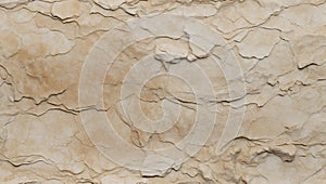 Geological Symphony: Fossilized Limestone Visual Harmony. AI generate