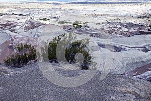 Geological Unusual rock formations, Submarine Valle de la Luna , Ischigualasto national park, paleontological reserve