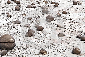 Geological Unusual rock formations, Valle de la Luna , bocce court Ischigualasto national park, paleontological