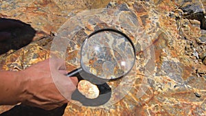 Geologist hand examines rock crystals mineral under magnifying glass