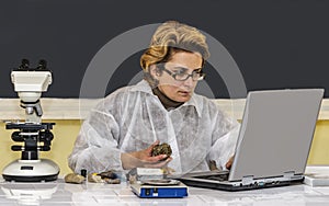 Geologist Researcher Working