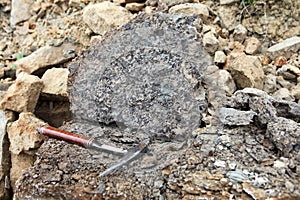 Geologists hammer on the phosphorite rock - Geological Fieldwork. geologist's hammer, rock hammer, rock pick, or