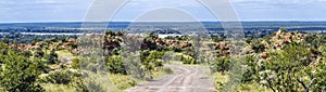 Panoramic scenery in Mapungubwe National park, South Africa photo