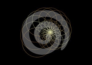 Snail spiral logo. Sea shell of gold circles. Sacred geometry logo template. Logarithmic sequences. Fibonacci spiral logo design photo