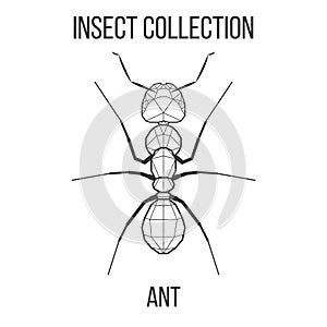 Geometric ant icon