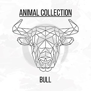 Geometric bull head