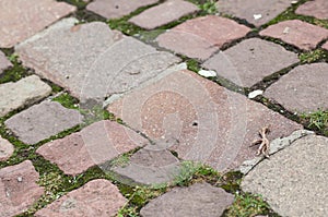Geometric cobbles in the street