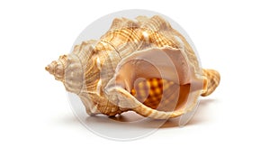 Geometric composition featuring multiple three-dimensional cubes arranged in a grid-