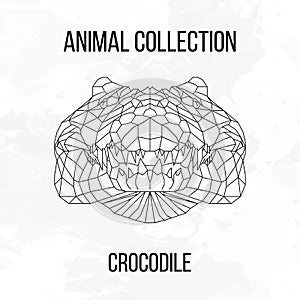 Geometric crocodile head