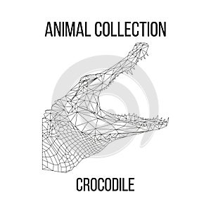 Geometric crocodile head