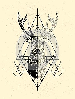 Poligonal deer poster design.Low poly deer head with triangle.