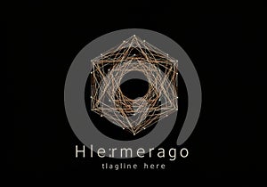 Geometric design features an intricate hexagonal pattern composed of interwoven