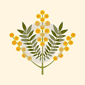 Geometric flower vector illustration. Modern symmetrical Mimosa branch with yellow flowers and leaves on pastel