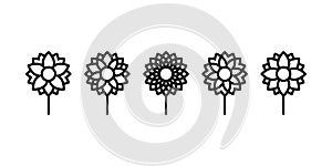 Geometric flowers shapes icon set. Minimalist flower symbols. Black outline. Vector illustration, flat design