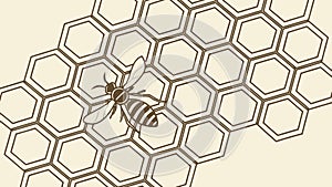 Geometric Honeycomb Pattern with a Single Bee, Natural Design, vector design Generative AI