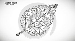 Geometric illustration of a leaf composed