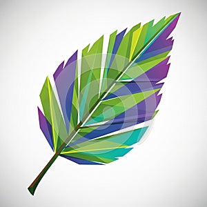 Geometric illustration of a stylized leaf