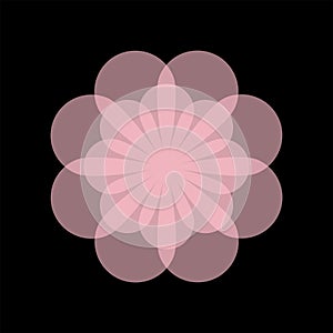 Geometric old pink flower photo