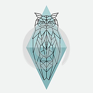 Geometric owl. Wild animal.