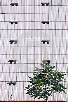 Geometric pattern of windows in a building contrast with a tree