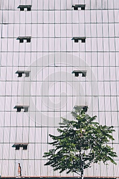 Geometric pattern of windows in a building contrast with a tree photo