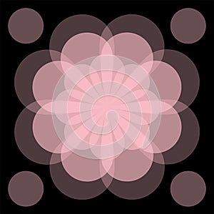 Geometric pink flower photo