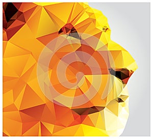 Geometric polygon lion head, triangle pattern