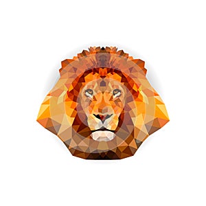 Geometric polygon lion head in triangle style, vector illustration