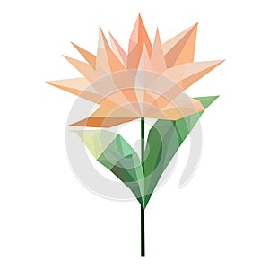 Geometric polygonal flower art