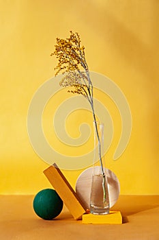 Geometric shapes near vase with twig against yellow background