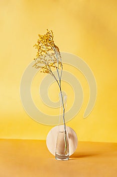 Geometric shapes near vase with twig against yellow background