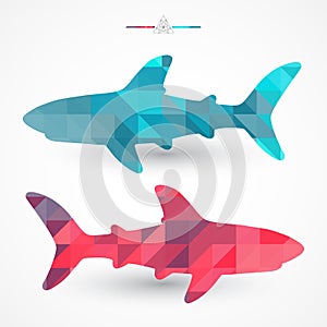 Geometric sharks