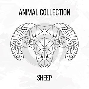 Geometric sheep head