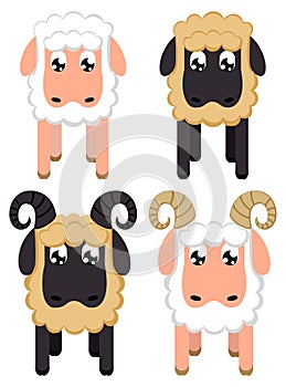 Geometric stylized sheep and ram set on white background