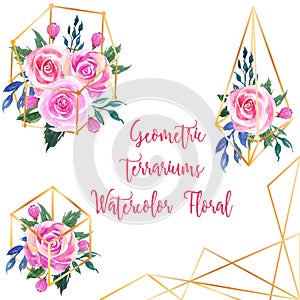 Geometric terrarium lovely pink watercolor floral