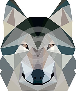 Geometric wolf design illustration photo