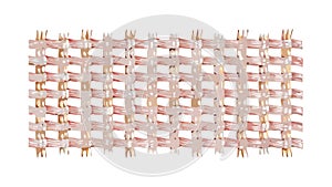 Geometric Woven Fabric Pattern, vector design Generative AI