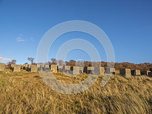 Geometrical World War II anti tank blocks in dunes, Aberlady Nature Reserve