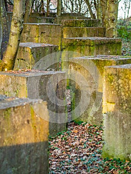 Geometrical World War II anti tank blocks in woodland at Tyninghame Beach, Scotland