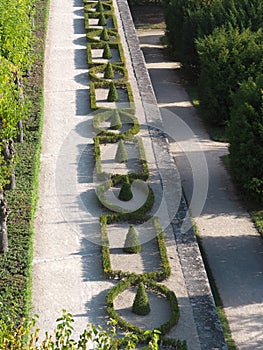 Geometrically planted box hedge in the garden of the Würzburg Residence