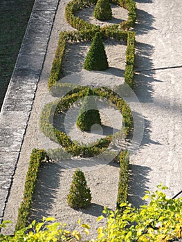 Geometrically planted box hedge in Würzburg Residence