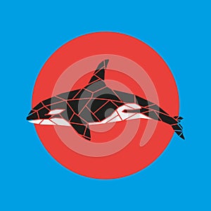Geometry grampus whale illustration.
