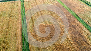 Geometry of rural fields
