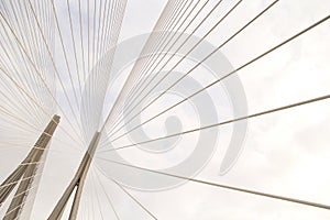 Geometry of Suspension Bridge
