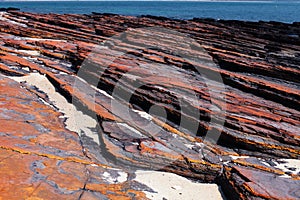 Geopart - Tung Pink Chau