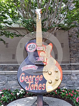 George Jones guitar