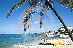 George Town Coastline