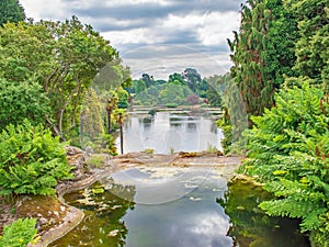A georgeous colourful view across the lake of Sheffield park from a bridge