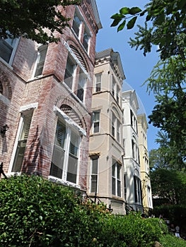 Georgetown Row Homes in Summer