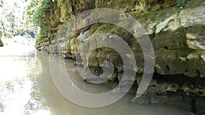 A georgeus rock cover an exotis river